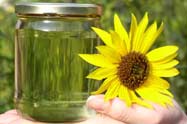 Biodiesel for fuel