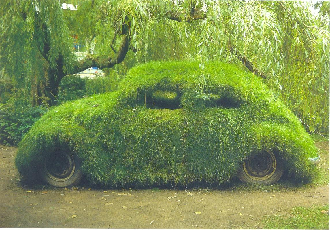 green beetle car grass