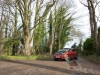 bmw-i3-red-trees-peterborough