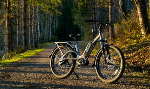 E-Bike Evolution: Weighing the Pros and Cons of More Powerful Batteries and Motors