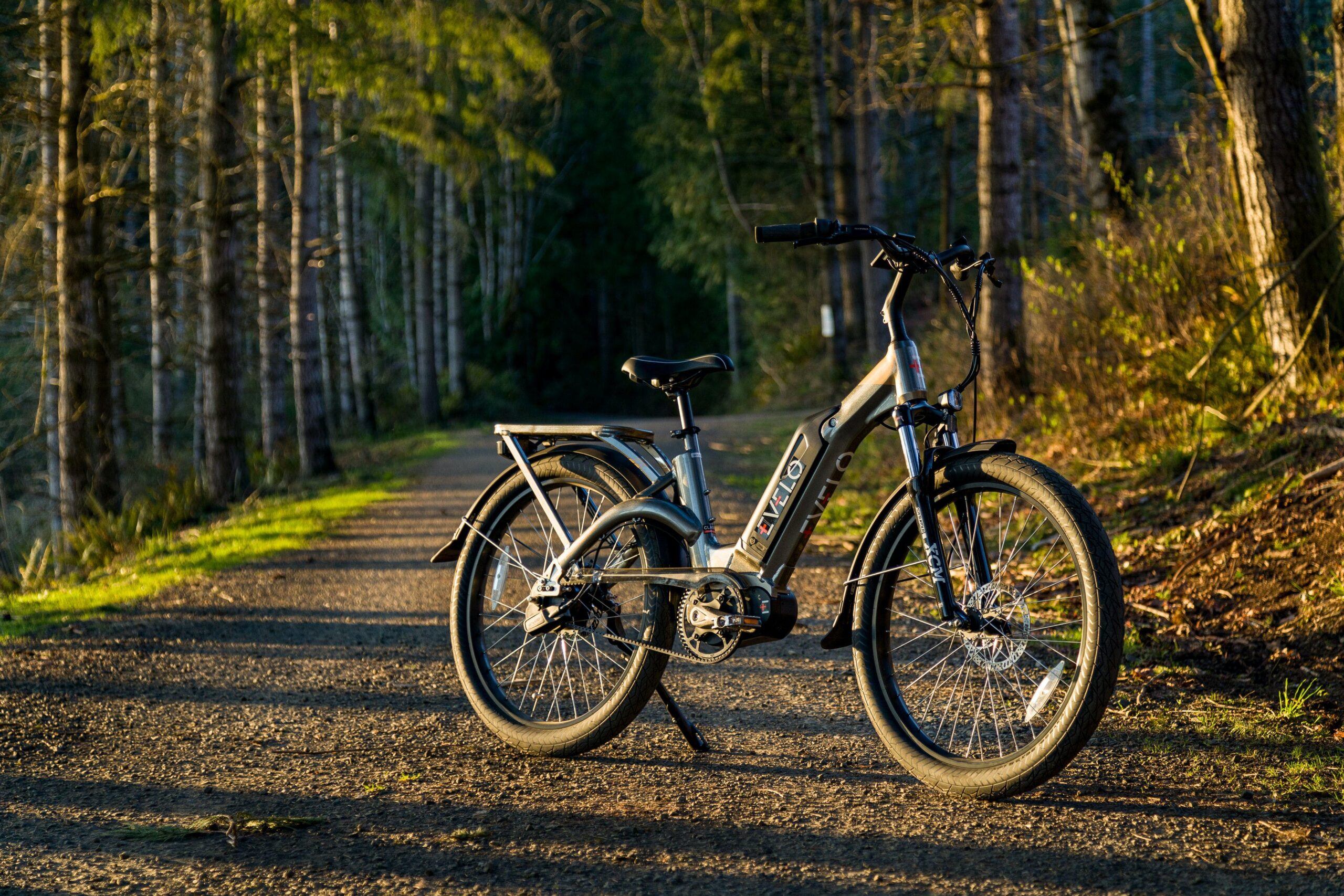 E-Bike Evolution: Weighing the Pros and Cons of More Powerful Batteries and Motors