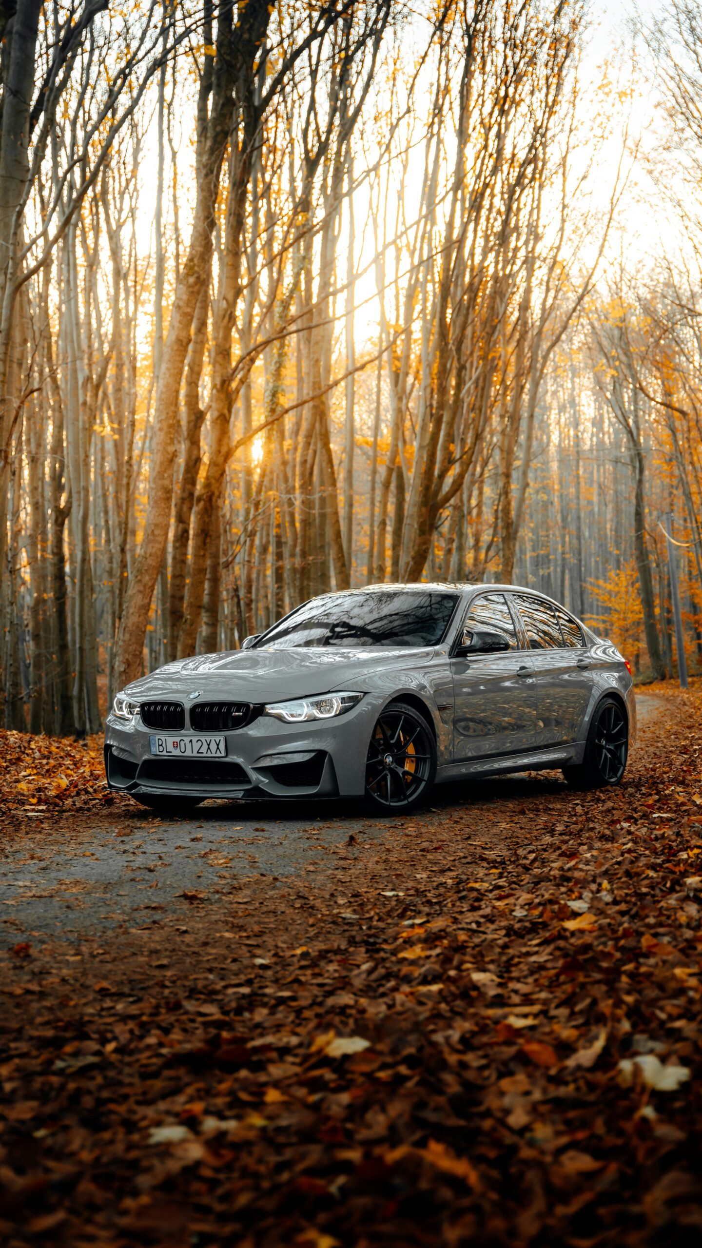 Unleashing the full potential of your BMW